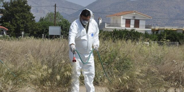 Στην Αττική τα δύο πρώτα επιβεβαιωμένα κρούσματα με ιό του Δυτικού Νείλου