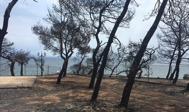 Συγκλονιστική μαρτυρία από τις φωτιές: “Ή μαζί θα καούμε ή μαζί θα σωθούμε”