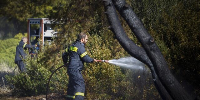 Υπό έλεγχο η φωτιά σε εργοστάσιο ανακύκλωσης χαρτιού στη Σητεία