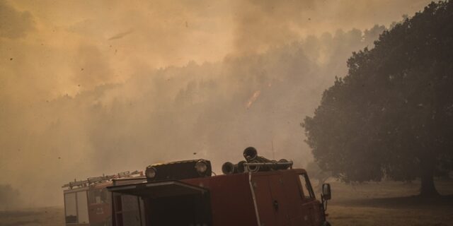 Συνελήφθησαν δύο εμπρηστές από πρόθεση για τις φωτιές στην Αμαλιάδα