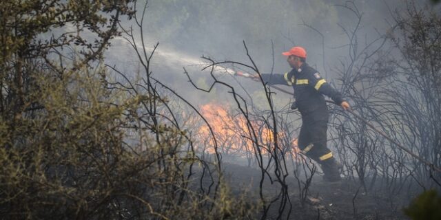 Σε εξέλιξη φωτιά σε αγροτική περιοχή στην Μόρια