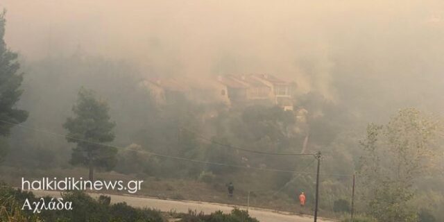 Φωτιά στη Χαλκιδική: Ολονύχτια μάχη με τις φλόγες στη Σάρτη – Ζητήθηκαν και άλλες ενισχύσεις