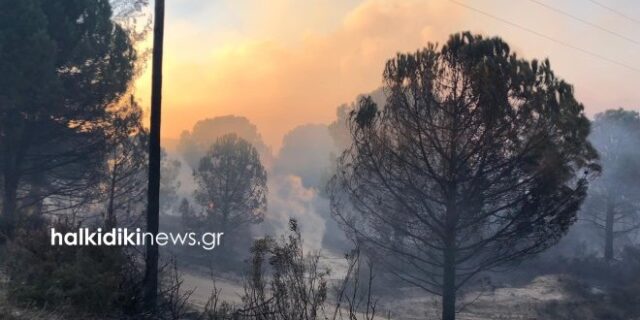 Φωτιά στη Χαλκιδική: Μαίνεται το μέτωπο – Εκκενώθηκαν οικισμοί