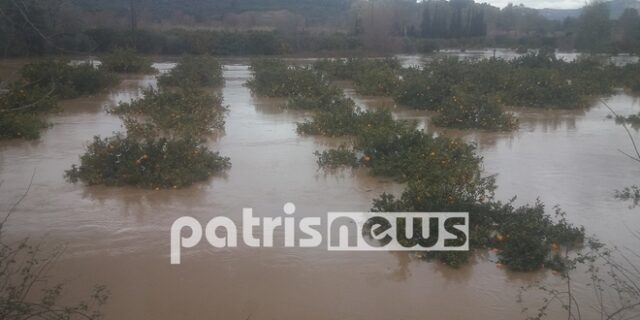 Πλημμύρισε ο Αλφειός – Σε επαγρύπνηση οι κάτοικοι