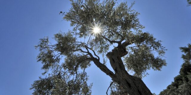 Καιρός: Λίγες νεφώσεις, αρκετή ηλιοφάνεια και κανονικές θερμοκρασίες