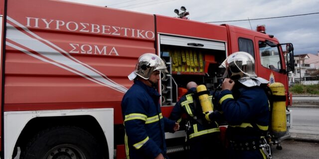 Χαλκιδική: Άνδρας καταπλακώθηκε από δέντρο στο οικόπεδό του