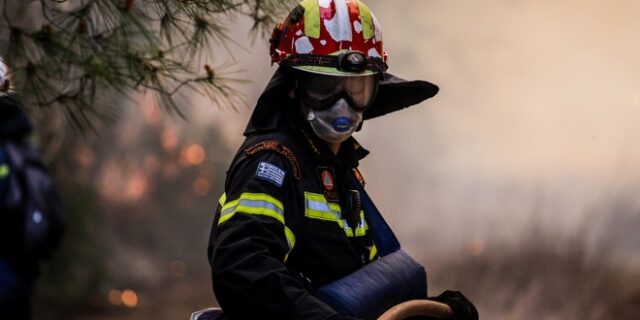 Συνεργασία Πυροσβεστικής και Δασικής Υπηρεσίας για την ισχυροποίηση της αντιπυρικής προστασίας