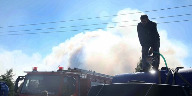 Υπό πλήρη έλεγχο η φωτιά στα Μέγαρα