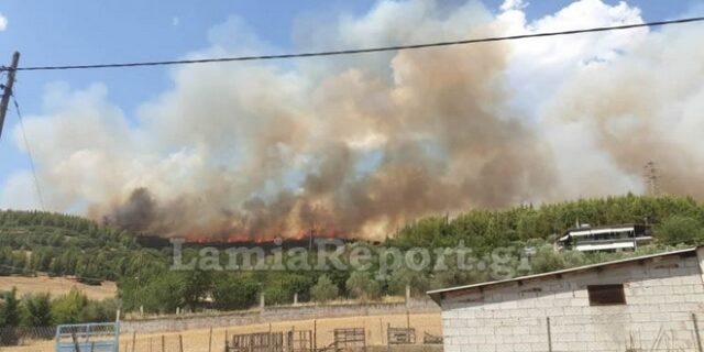 Φωτιά στη Φθιώτιδα: Το πύρινο μέτωπο μαίνεται μεταξύ της περιοχής Καστρί και Γραμμένη