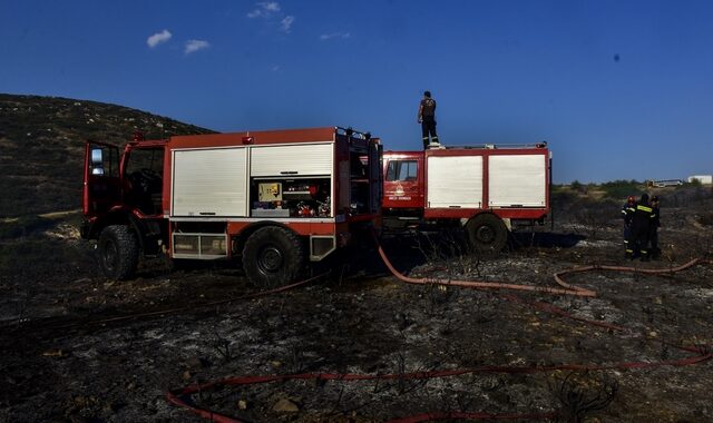 Φωτιά στην Ηλεία κατακαίει χορτολιβαδική έκταση