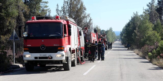 Φωτιά στην Κάρυστο σε δασική έκταση