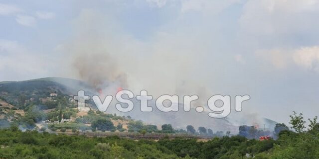 Μαίνεται η φωτιά στη Φθιώτιδα – Πύρινα μέτωπα σε Εύβοια και Μάνη