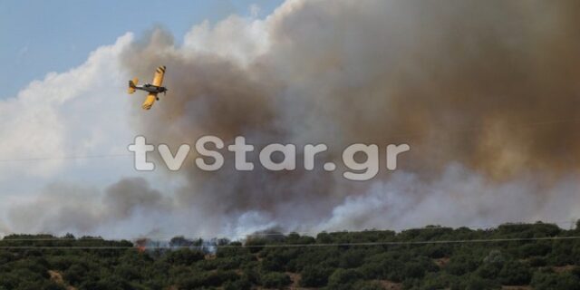 Μεγάλες διαστάσεις παίρνει η φωτιά στην Φθιώτιδα – Από μία εστία άνοιξε σε τρία μέτωπα