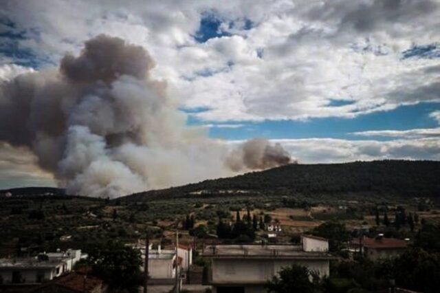 Φωτιά στην Τανάγρα: Καλύτερη η κατάσταση – Ισχυρές δυνάμεις στο σημείο για το βράδυ