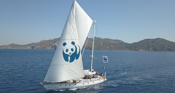 WWF: Το “Blue Panda” ταξιδεύει στο Ιόνιο – Οι κίνδυνοι των εξορύξεων και η προστασία των θαλάσσιων ειδών