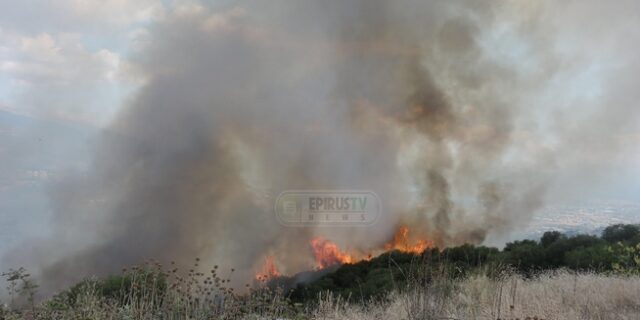 Φωτιά στο Σταυράκι Ιωαννίνων – Επιχειρεί μεγάλη δύναμη της πυροσβεστικής