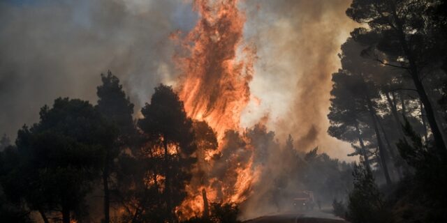 Φωτιά στην Εύβοια: Μεγάλη οικολογική καταστροφή – Σε συναγερμό οι αρχές