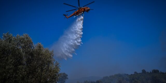 Φωκίδα: Σε εξέλιξη φωτιά κοντά σε οικισμό στη Δωρίδα