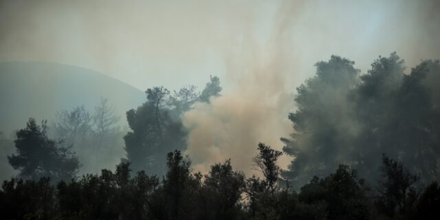 Φωτιά σε δασική έκταση στην Κεφαλονιά