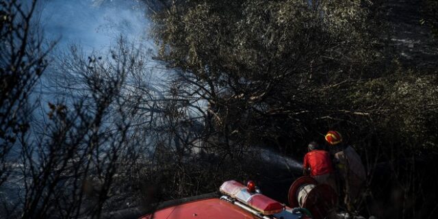 Υπό πλήρη έλεγχο η φωτιά στην Παιανία