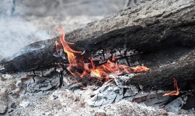 Φυλάκιση τεσσάρων ετών σε εμπρηστή – Συνελήφθη για 10 φωτιές στην Μεσσηνία