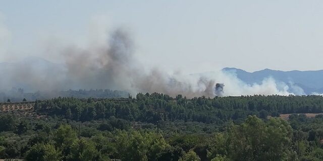 Αρχαία Ολυμπία: “Μάχη” με τις φλόγες στον Ξηρόκαμπο – Μεγάλη κινητοποίηση της Πυροσβεστικής