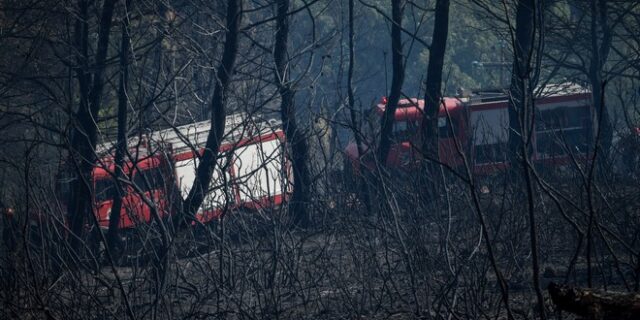 Υπό μερικό έλεγχο οι φωτιές σε Φθιώτιδα, Ηλεία και Αρχαία Ολυμπία