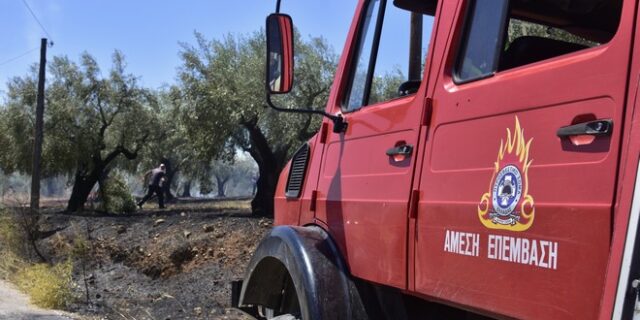 Φωτιά στο Λευκοχώρι Ηλείας