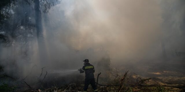 Υπό μερικό έλεγχο τέθηκε η φωτιά στην Αρχαία Ολυμπία