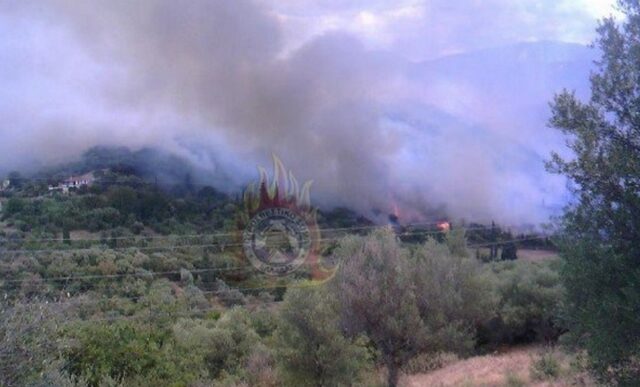 Φωτιά στη Φωκίδα: Σε ετοιμότητα για εκκένωση οι κάτοικοι δύο χωριών