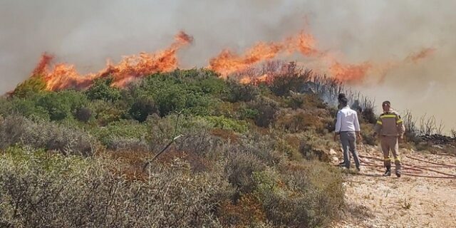 Σε ύφεση η φωτιά στην Ζάκυνθο – Καλύτερη εικόνα στην Θεσπρωτία