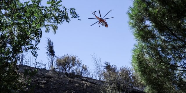 Σε ύφεση και οριοθετημένη η φωτιά στην Δωρίδα Φωκίδας