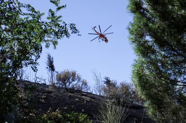 Σε ύφεση και οριοθετημένη η φωτιά στην Δωρίδα Φωκίδας