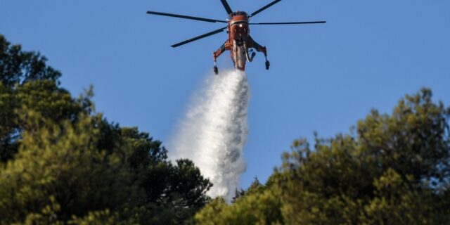 Σε ύφεση και οριοθετημένη η φωτιά στη Νέα Μάκρη