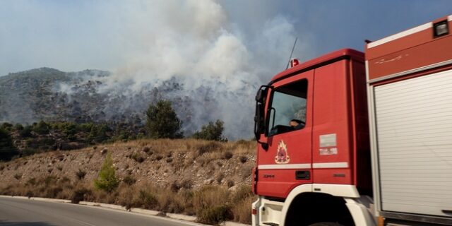 Υπό μερικό έλεγχο η φωτιά στο Νέο Ικόνιο