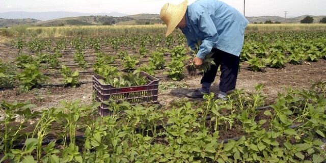 Μια δίαιτα vegan θα έκανε καλό στο κλίμα