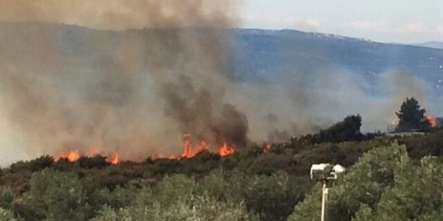 Κεφαλονιά: Φωτιά στην περιοχή Πλατιές