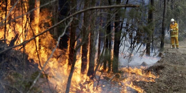 Αυστραλία: Είδη υπό εξαφάνιση και βιότοποι χάθηκαν στις φλόγες