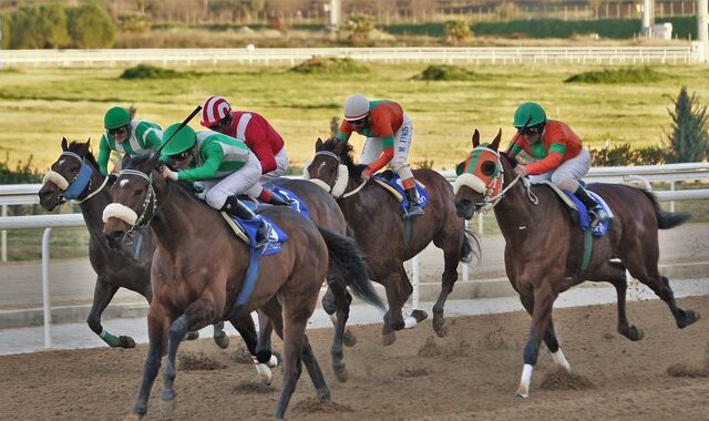 O ΠΑΡΤΥ ΤΑΪΓΚΕΡ νικητής του 1ου Μarkopoulo Park Handicap