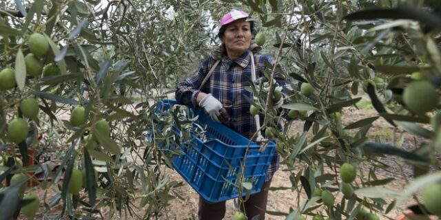 Κάρτα Αγρότη από Δευτέρα 30 Μαρτίου