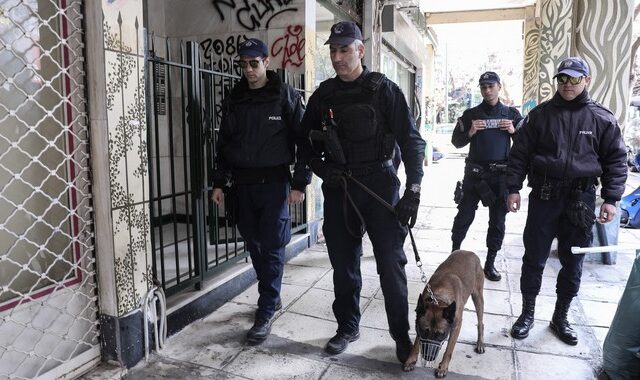 Θεσσαλονίκη: Ειδικά εκπαιδευμένος σκύλος εντόπισε υδροπονική καλλιέργεια κάνναβης