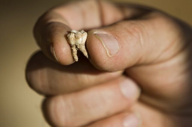 Ανακαλύφθηκαν σε σπήλαιο της Βουλγαρίας απολιθώματα Homo sapiens