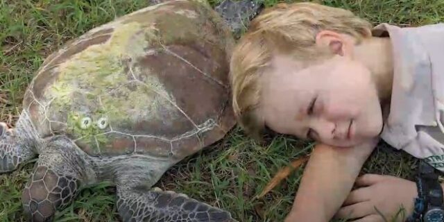 Ο 5χρονος που βοηθά τραυματισμένες χελώνες να επιστρέψουν στη θάλασσα
