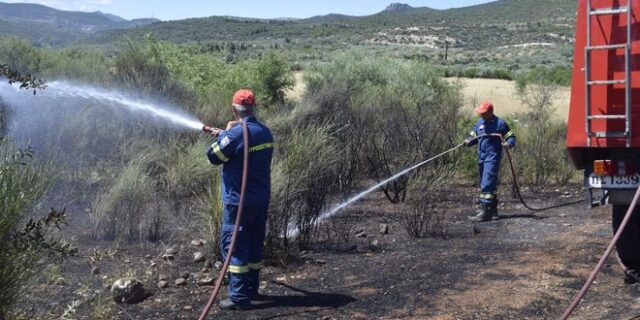 Πυρκαγιά σε δασική έκταση στο Άγιον Όρος