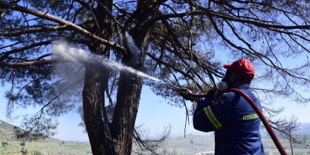 Σε εξέλιξη νέα φωτιά στην Πύλο