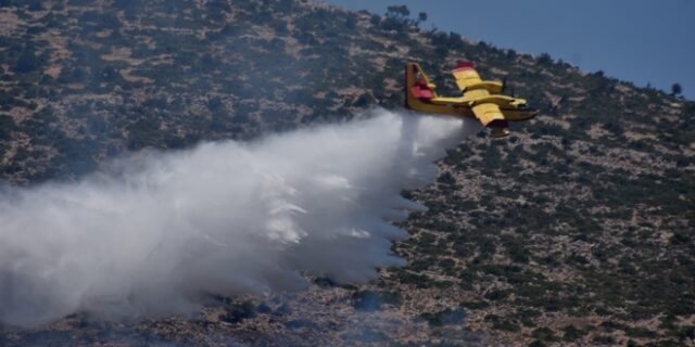 Μεσσηνία: Υπο έλεγχο η φωτιά σε δασική έκταση