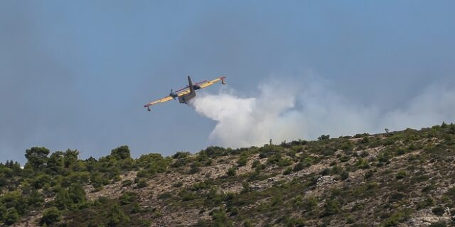 Φωτιά στη Λαυρεωτική: Μάχη για να μην απειληθούν οικισμοί και ο εθνικός δρυμός