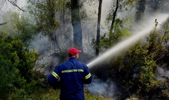Φωτιά τώρα στην Κορινθία: Μεγάλη κινητοποίηση της Πυροσβεστικής