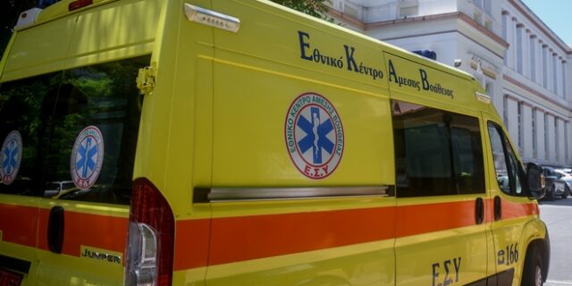 Τραγωδία στην Ηλεία: 88χρονος έπεσε από δέντρο και σκοτώθηκε