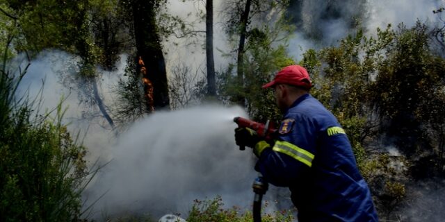 Σε εξέλιξη φωτιά στη Λέσβο